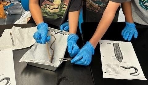 Science