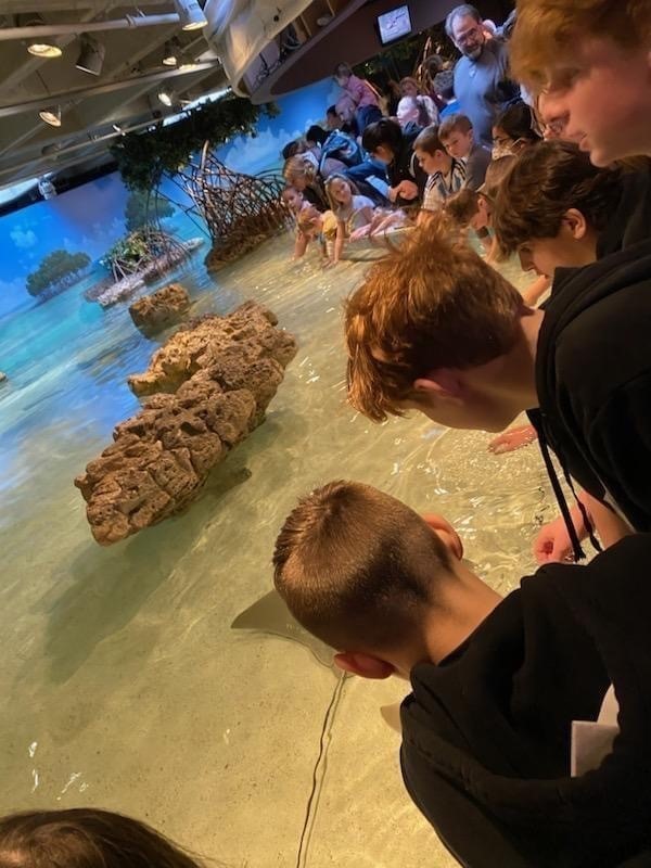 Aquarium 2